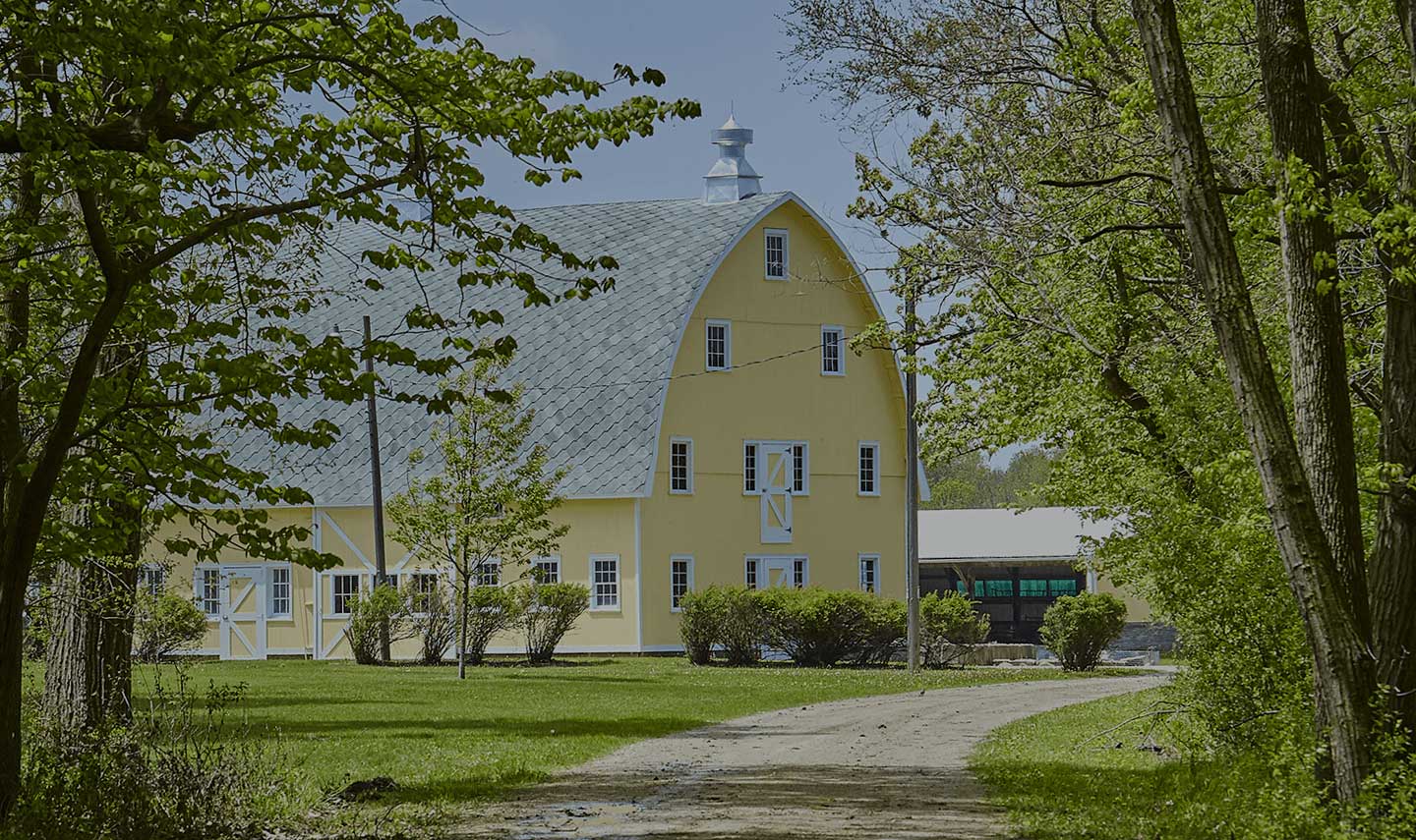 Jones big yellow barn