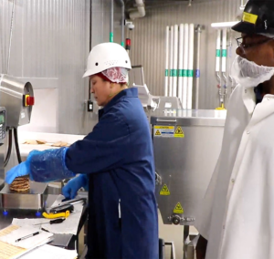 Showing diversity within employees working together